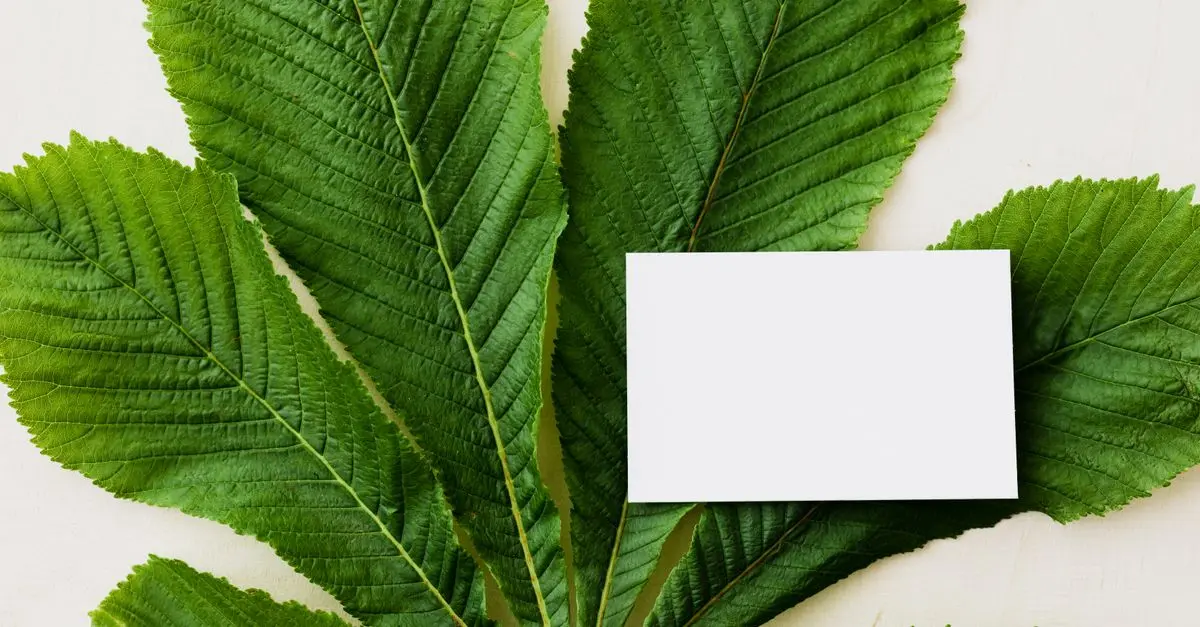 10 Tipps zur nachhaltigen Geschäftsentwicklung für Ihr Unternehmen