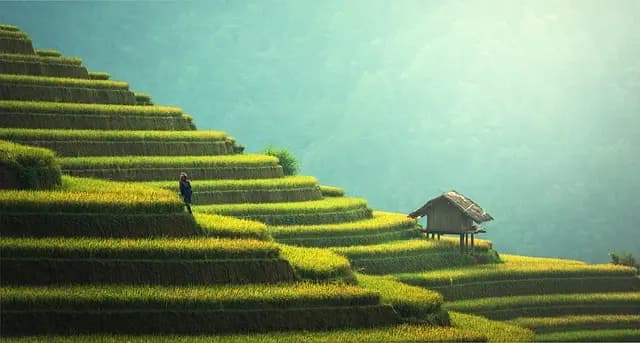 10 bewährte Strategien für nachhaltige Geschäftsentwicklung