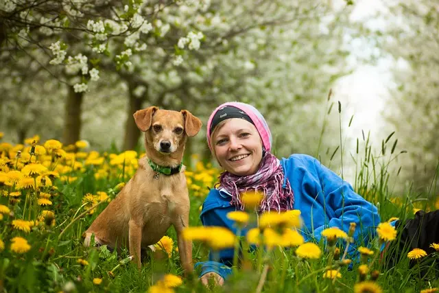Wie Sie eine nachhaltige Wachstumstrategie entwickeln